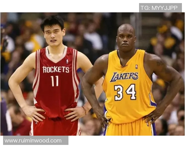 姚明与奥尼尔职业生涯数据对比分析谁才是篮球巨星之巅的真正王者